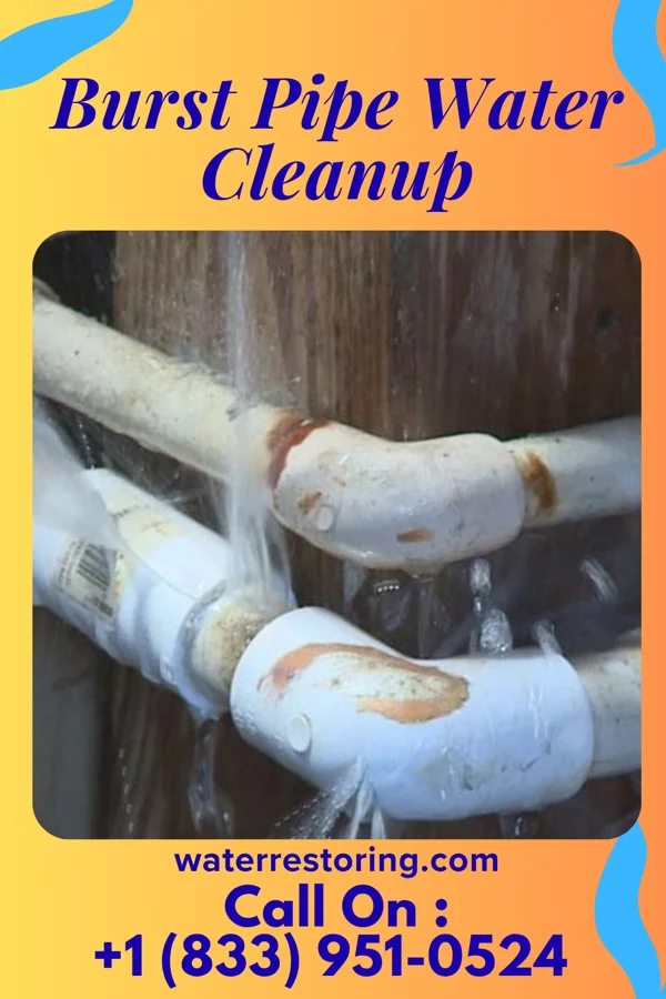 Burst Pipe Water Cleanup in Doolittle, MO