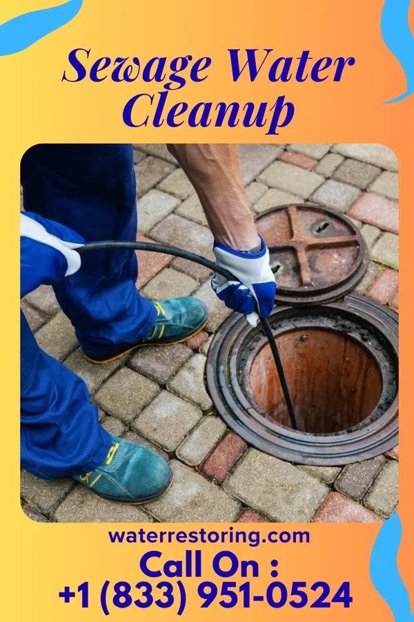 Sewage Water Cleanup in Doolittle, MO