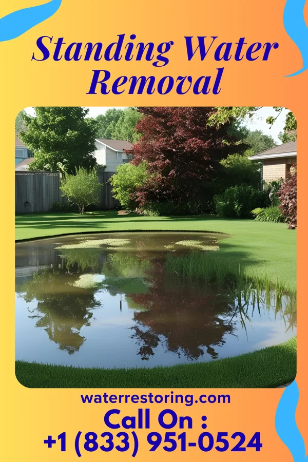 Standing Water Removal in Doolittle, MO